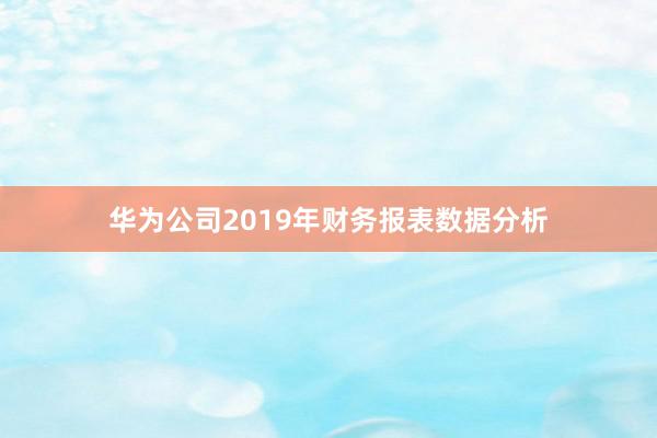 华为公司2019年财务报表数据分析