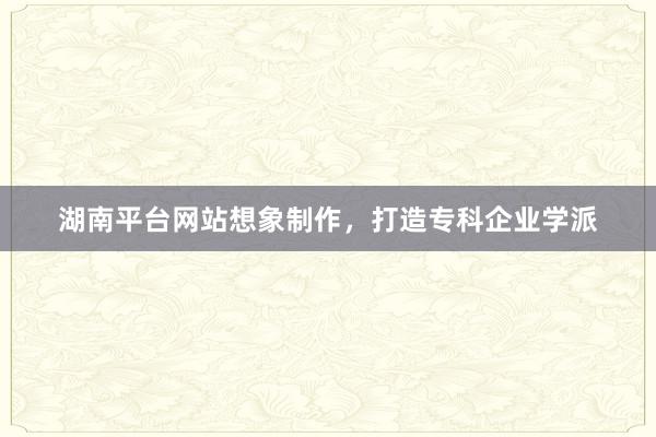 湖南平台网站想象制作，打造专科企业学派