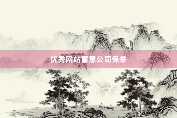 优秀网站蓄意公司保举