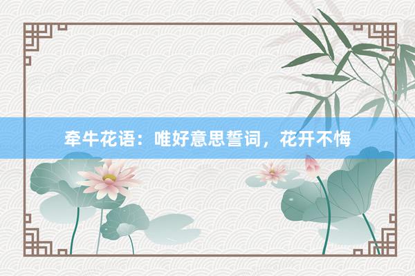 牵牛花语：唯好意思誓词，花开不悔