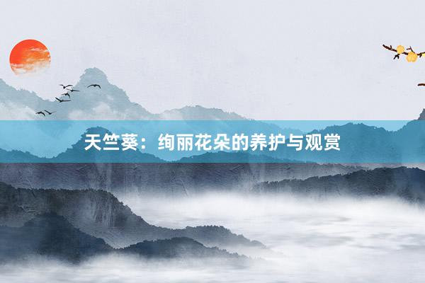 天竺葵：绚丽花朵的养护与观赏