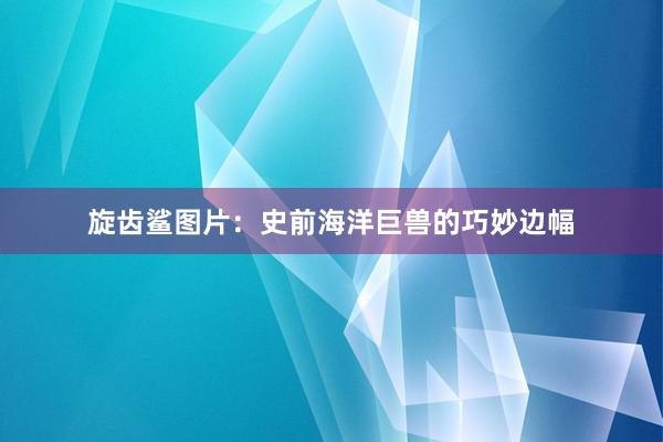 旋齿鲨图片：史前海洋巨兽的巧妙边幅